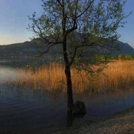 B&B Il Portico Del Conte Bosisio Parini Exteriör bild